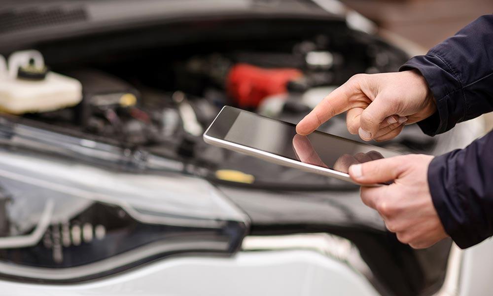 Expertise locale et suivi complet